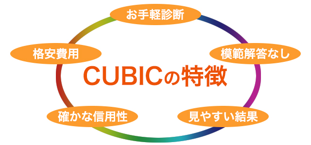 CUBICの特徴 お手軽診断 格安費用 確かな信頼性 模範解答なし 見やすい結果