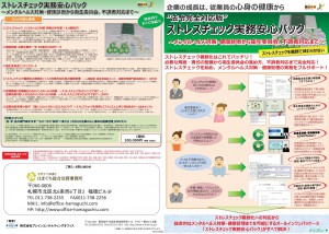 PSRｽﾄﾚｽﾁｪｯｸ実務安心パックチラシ-おもて